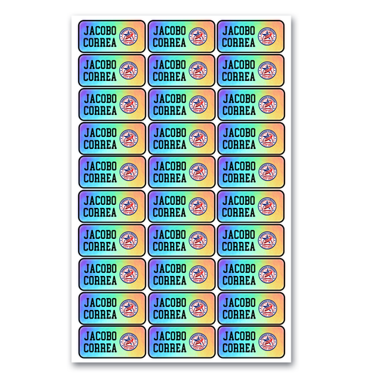 Custom Iridescent School Labels