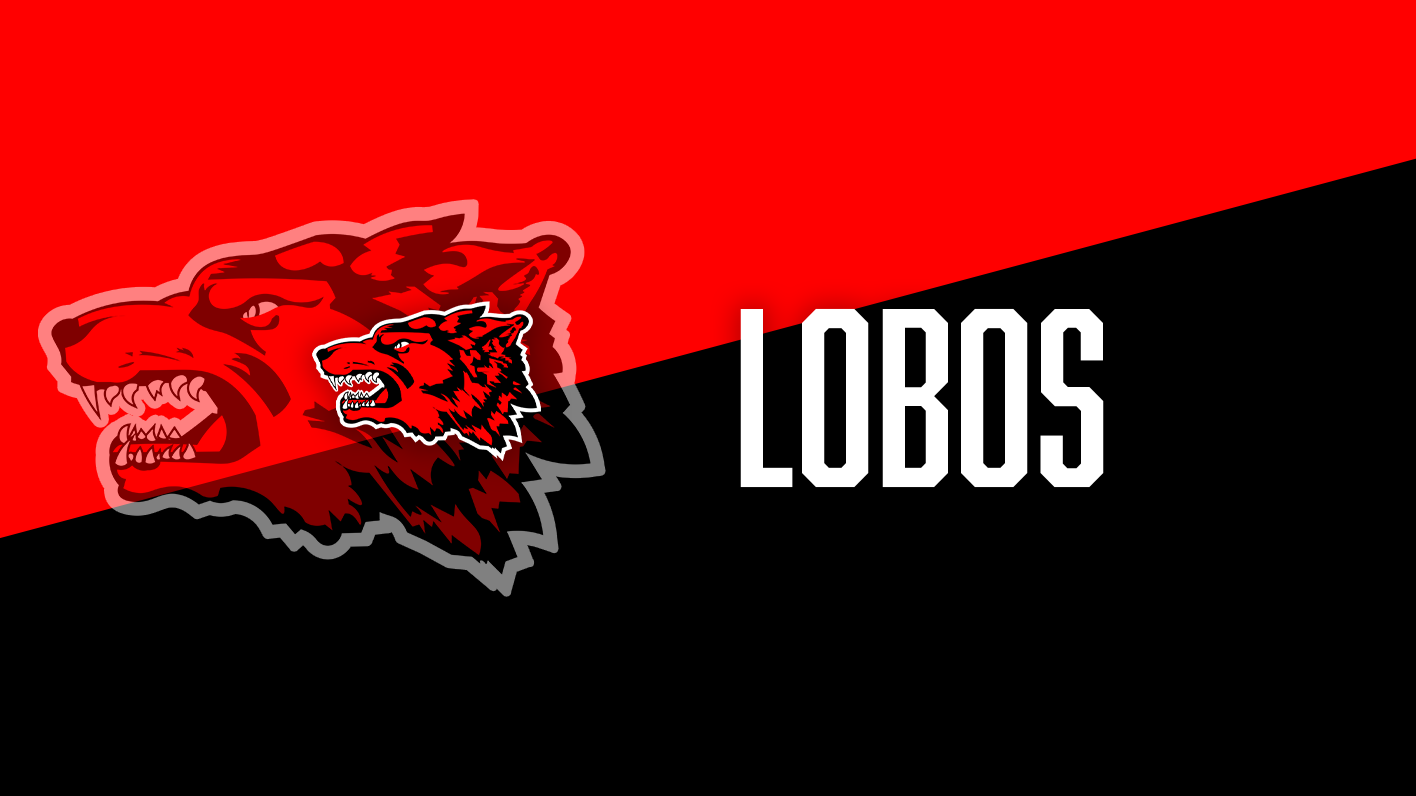 La Joya Palmview High School