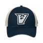 UTRGV New Era 9TWENTY Low-Profile Navy Cap - White V
