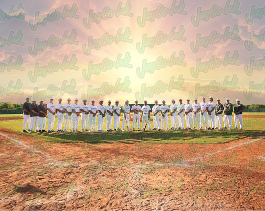 Pioneer Baseball - Team